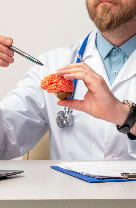 Profissional de saúde explicando glioma com modelo anatômico do cérebro durante consulta. Médico com barba usando jaleco branco segura um pequeno modelo de cérebro enquanto aponta detalhes com uma caneta, em consulta sobre tumores como o glioma.