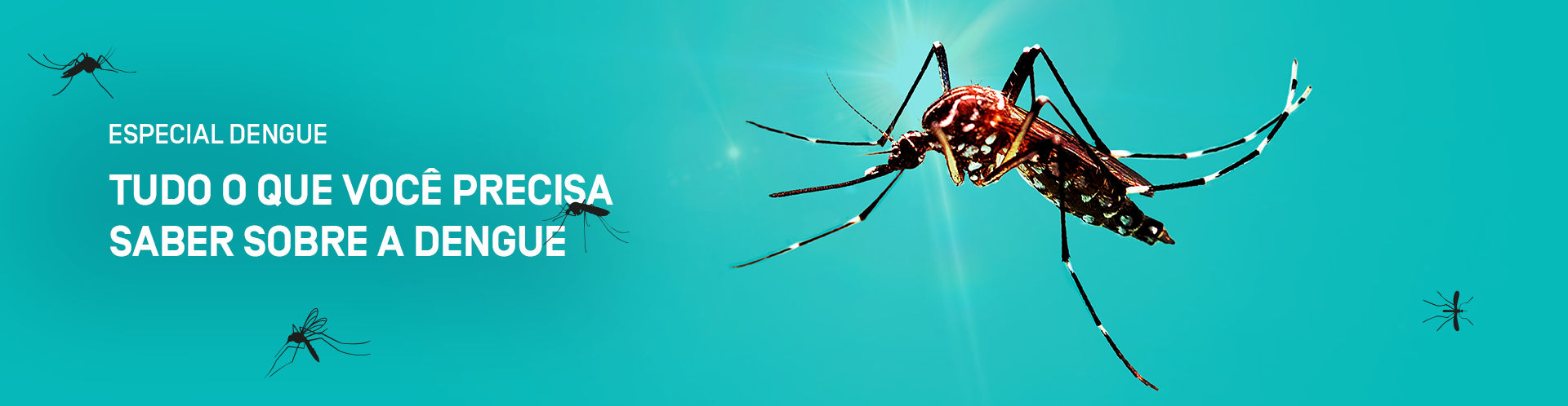 O que você precisa saber sobre a dengue