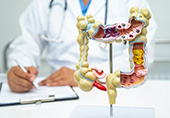 Noções Básicas de Anatomia e Fisiologia